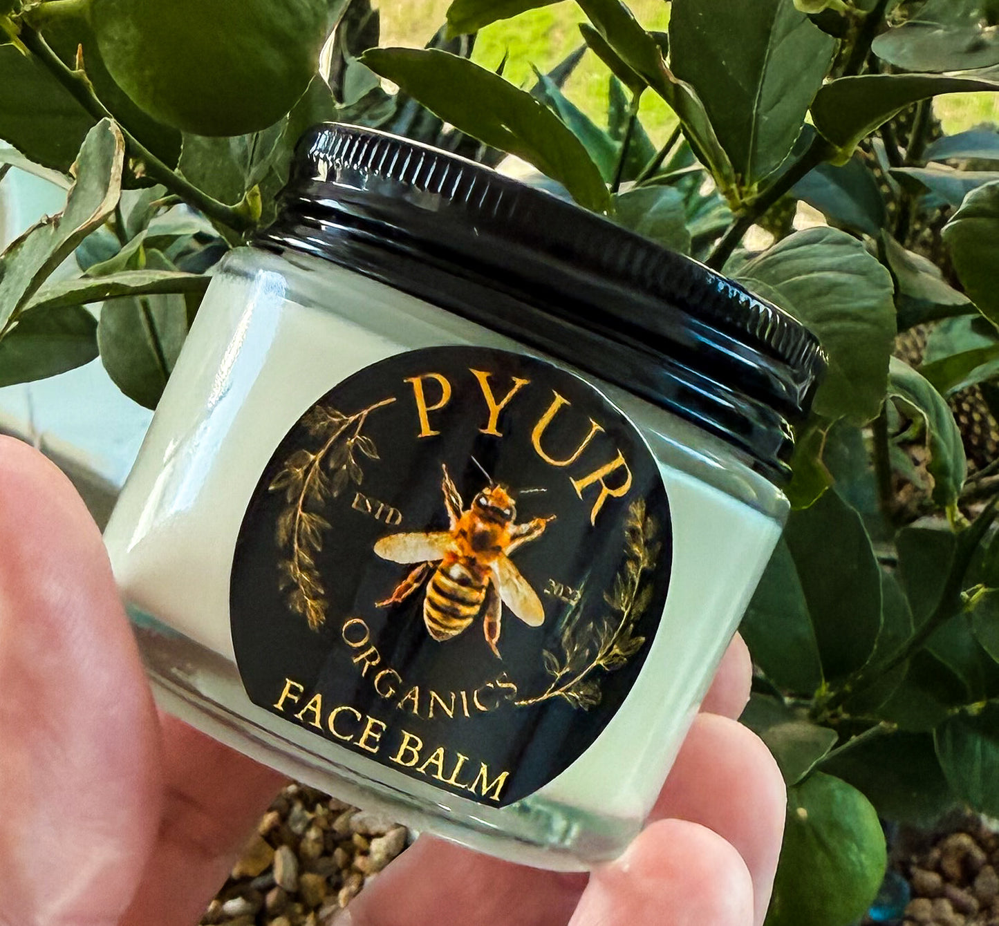 Organic Tallow Balm - Raw Honey - Coconut Oil - Frankincense & Peppermint