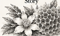 PYUR ORGANICS Journal graphite illustration